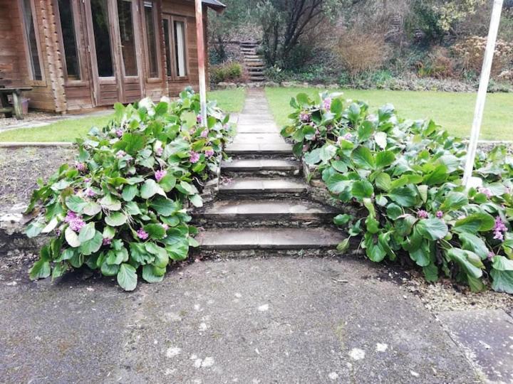 The 'shed' Log Cabin, Bishop Sutton Apartment Bristol