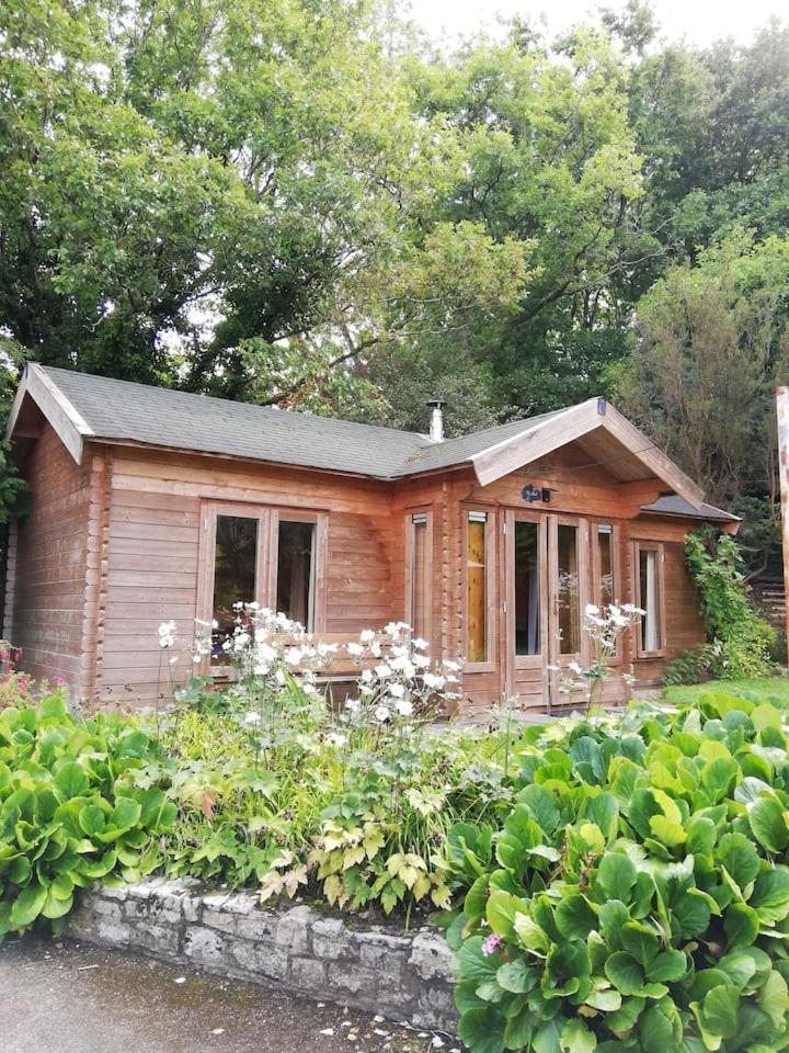 The 'shed' Log Cabin, Bishop Sutton
